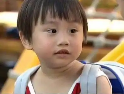 童星出身的小彬彬又离婚迷你彬归前妻抚养