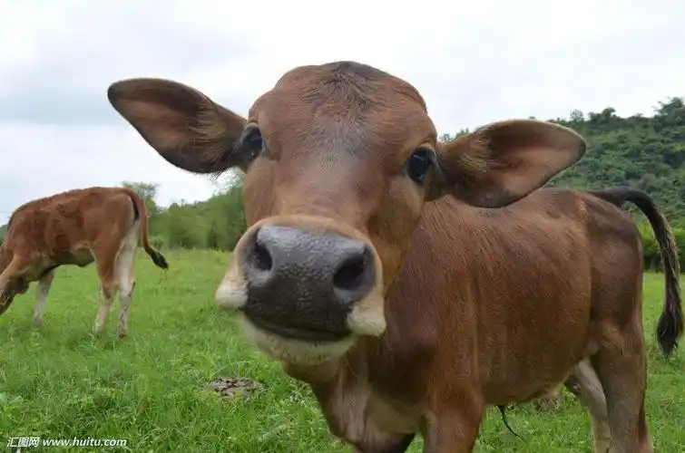 _ 哔哩哔哩纪录片 _ 哔哩哔哩相簿