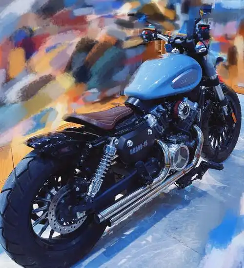 南京女孩改装金吉拉