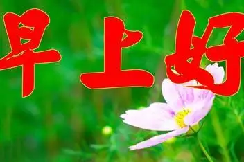 每天的清晨送你一首醉人的歌,祝天天开心简介:早上好亲爱的朋友,每天