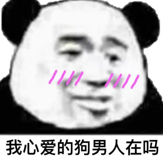 我心爱的狗男人在吗(熊猫头)-表情图片 - 壁纸之家