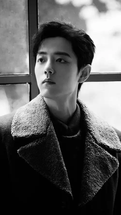 肖战秋意浓暖男魅力温柔大气精选图片