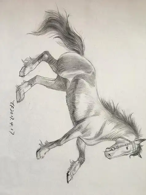 素描动物简单素描小动物简单画法