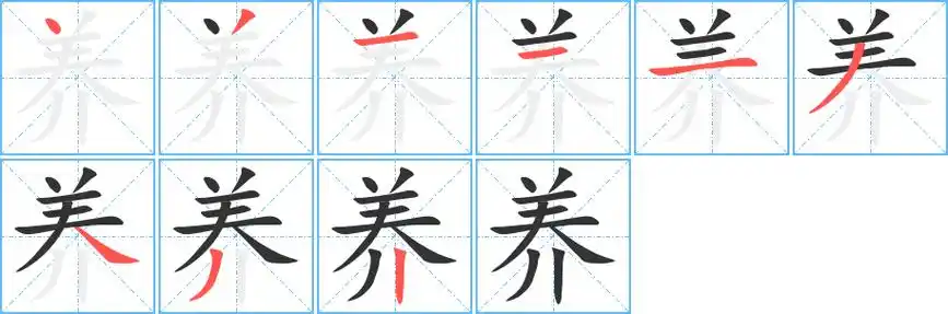 养字笔顺