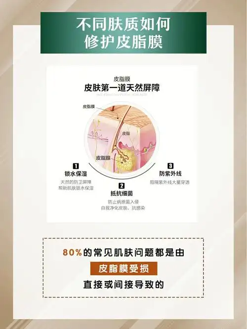 在皮肤表面而形成的一层保护膜皮脂膜的作用:屏障作用润泽皮肤免疫