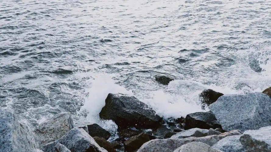 大海可以治愈一切吧