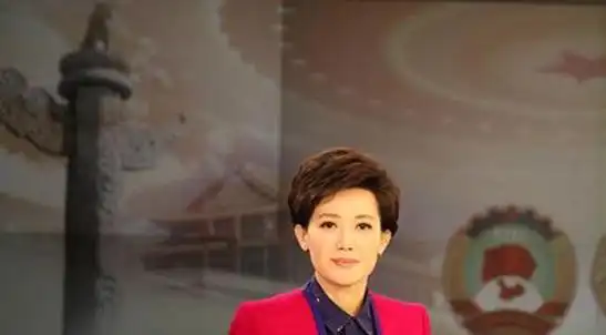 年过40仍然单身未婚的央视女主播们照样活出了精彩美丽的人生