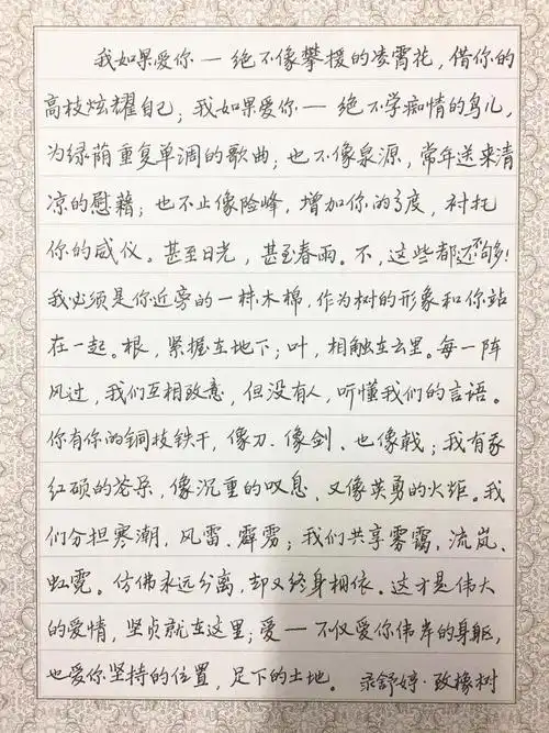 舒婷致橡树钢笔字笔友习作欣赏