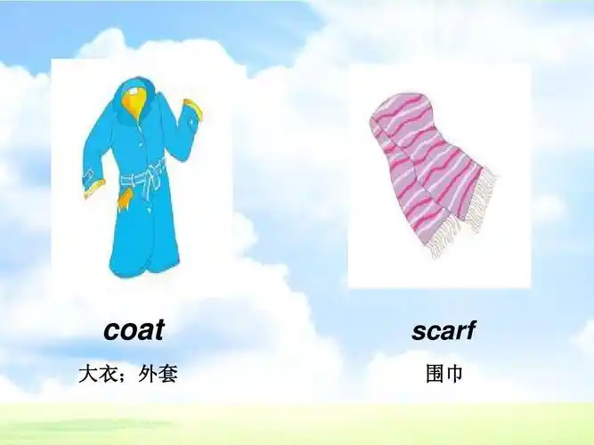 coat 大衣;外套 scarf 围巾