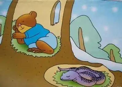 冬眠的动物卡通简笔画