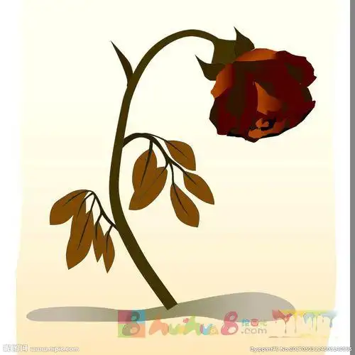 花朵枯萎儿童简笔画