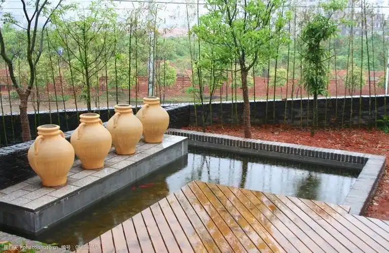 别墅庭院的水池图片