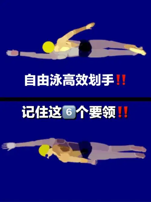 自由泳高效划手丨记住这61566大要领6015