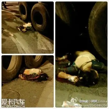 上海卢湾区马当路合肥路压死个美女,血腥慎入.