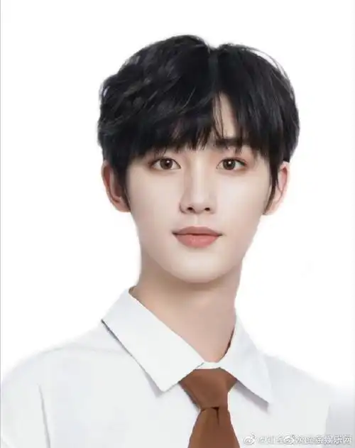 内娱男明星证件照