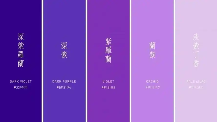 可能都是不同的颜色,从紫罗兰,薰衣草的温柔轻薄,到深紫色的奢华富贵
