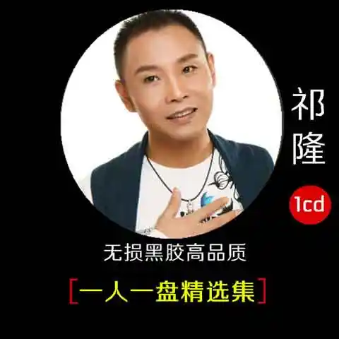 祁隆黑胶车载cd《一人一盘精选集(珍藏版)》独特磁性嗓音