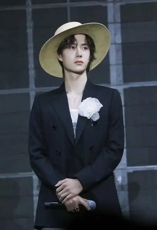 王一博74路飞装套图