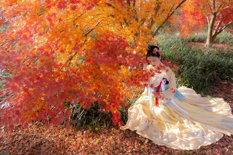 相思枫叶红,袅娜少女羞.