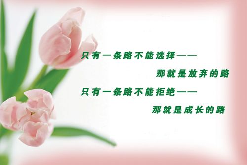 633海报印制海报展板素材615文明宣传温馨花语句大方简洁标语(1)