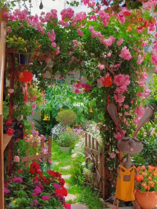 丽江古城客栈一秒走进爱丽丝梦游仙境花园