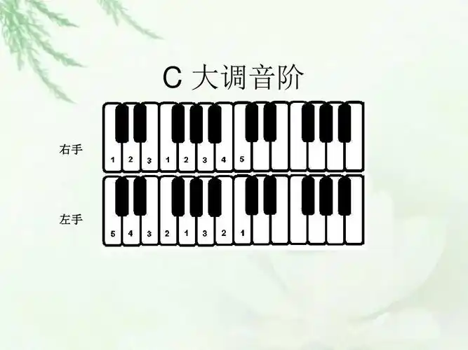 钢琴常用音阶指法图 (2)