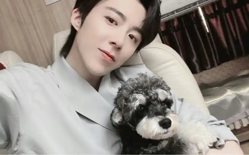 开屏暴击的乖宝男经纪人刘宇宁和他的傲娇女明星刘呆米