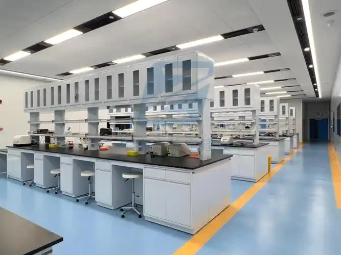 生物科研实验网站建设流程(生物科研实验网站建设流程图)