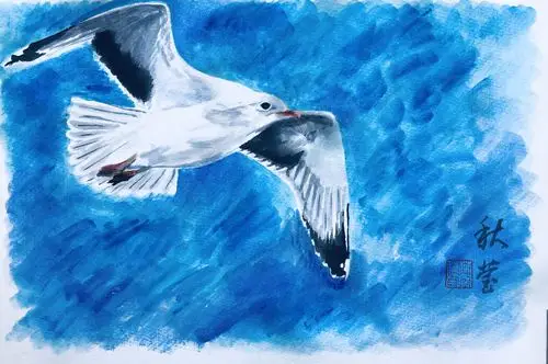 海鸥的骨骼是空心管状的,没有骨髓而充满空气.