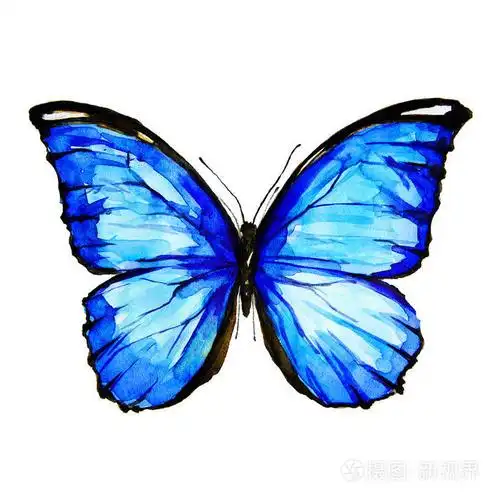 美丽的蓝色蝴蝶, 水彩, 孤立的白色