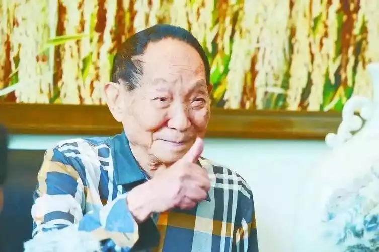 2017年,袁隆平在山东考察海水稻长势