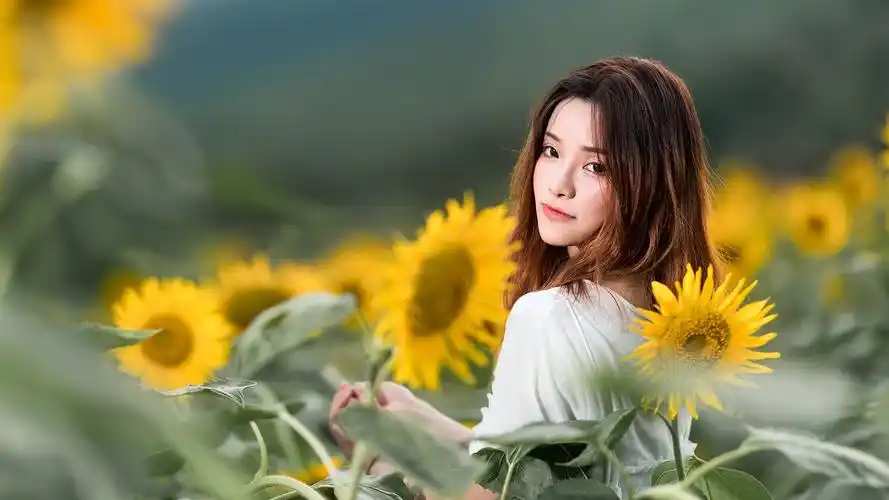 阳光少女向日葵下甜美写真