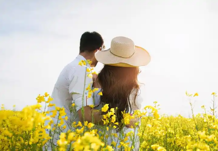 八字合婚看两人合不合_达一风水网