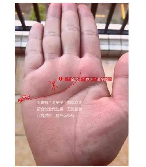 女人手相上的这种纹路,注定一生食禄有余,富贵满门
