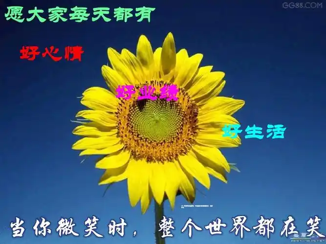 愿大家每天都有 好心情 好业绩 好生活 万一网制作收集整理,未经授权