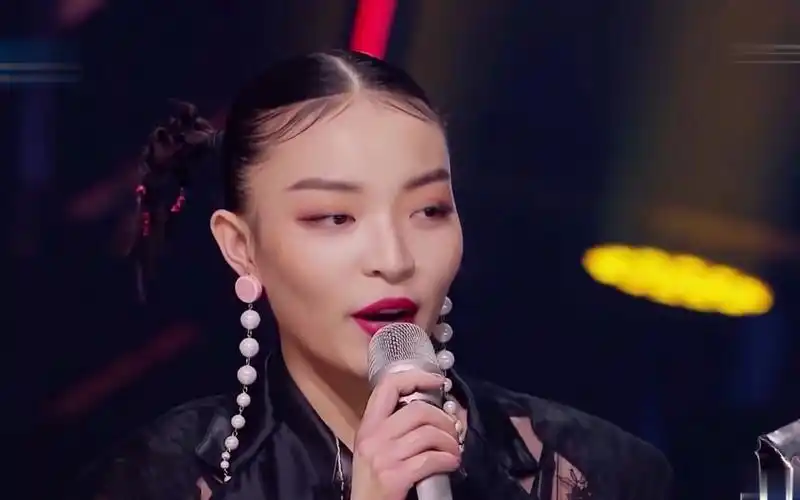 vava怼丁太升:你不会,你在教我做事吗?