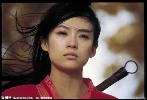 演员之一了,参演的《卧虎藏龙》《一代宗师》《十面埋伏》哪一部都是