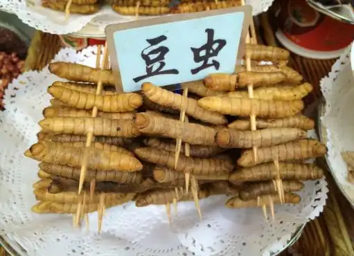 豆虫多少钱一斤2017大豆上的绿虫子