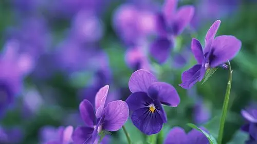 唯美风景摄影宽屏壁纸第二辑高清大图预览1920x1080_风景壁纸下载_美