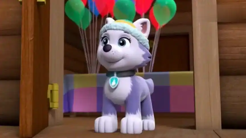 汪汪队立大功 狗狗珠珠要给杰克一个大惊喜