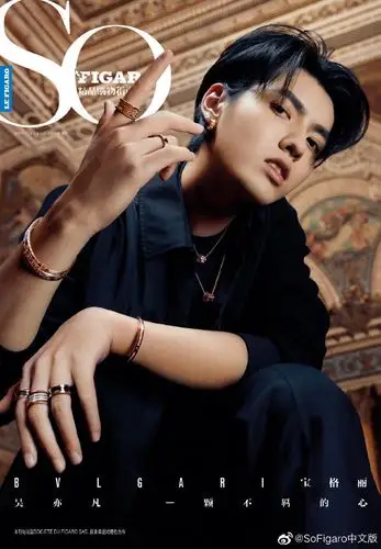 吴亦凡 x so figaro | 最新一期杂志封面公. 来自明星时尚网 - 微博