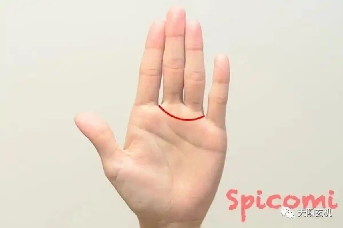 金星带是一条从食指和中指之间延伸到药用手指和小指之间的曲线.