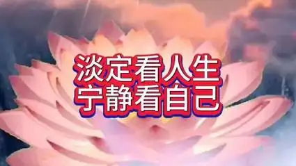 淡定看人生 宁静看自己