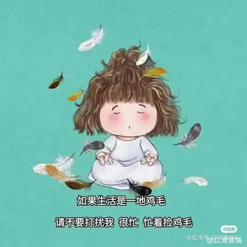 请不要打扰我我很忙忙着捡鸡毛