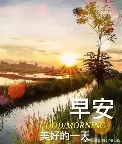新的一年祝福你早安的唯美句子2020清晨问候早上好壁纸表情图片