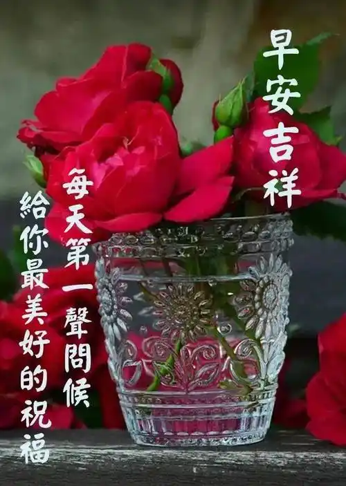 的早上好问候图片带字,唯美夏天早安问候祝福图片_生活_顿美美_钟儿响
