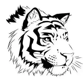 老虎的头简笔画 老虎的头简笔画霸气