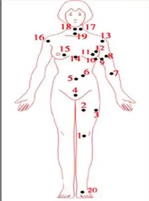 女人全身痣相图解