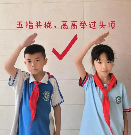 队礼是我们少先队组织的最高礼节,敬礼的姿势一定要标准,神情一定要