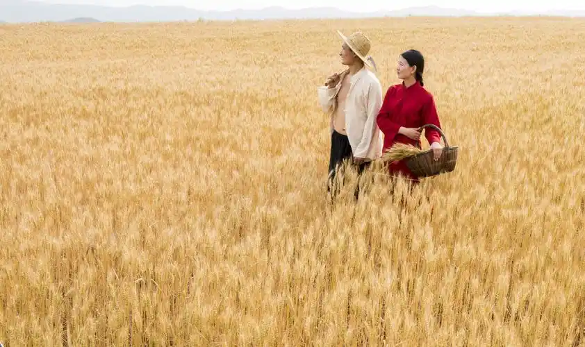 唯美麦田人像摄影《九儿》